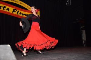 F.Flamenca_Okt._2015_large131_1.JPG