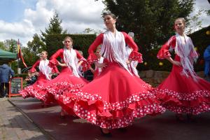 rosarium_las_estrellitas_2015_48_1.JPG